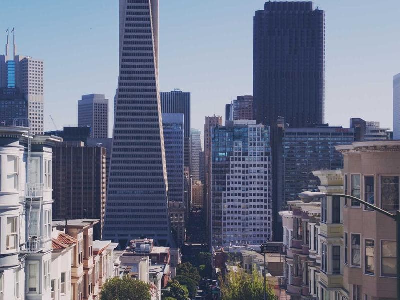 Distribution Network Platform